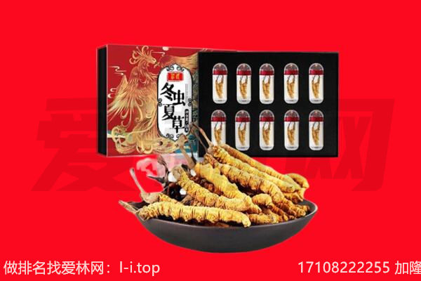 商都县回收虫草.jpg